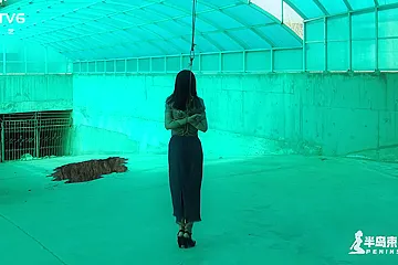 Chinese Bondage - Bondage Shelter - Teaser Video - free porn video