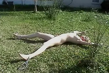 Sara Bound In In The Yard - free porn video