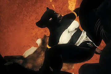 Wild Life Furry - free porn video