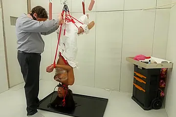 Ass Babe In Bound Black Babe Gets Ass Toyed - free porn video